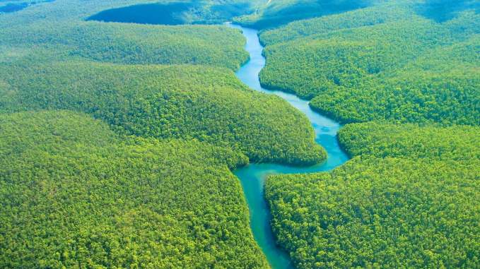Amazon Rainforest
