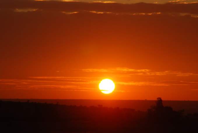 Maasai Mara National Reserve, Kenya