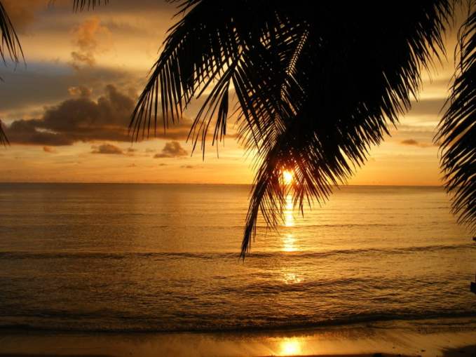 Fiji Beach