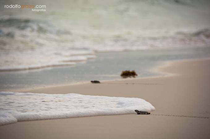 Playa Huevo Beach