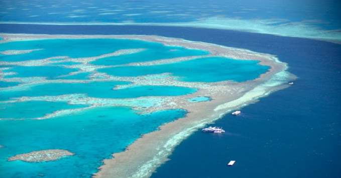 The Great Barrier Reef, Australia